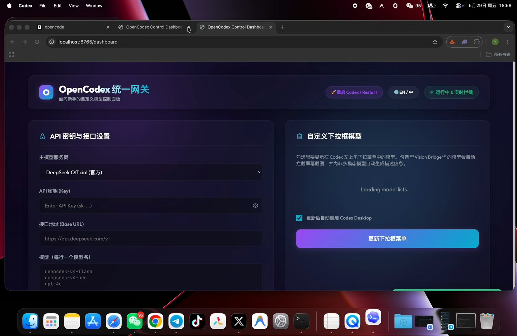 OpenCodex
